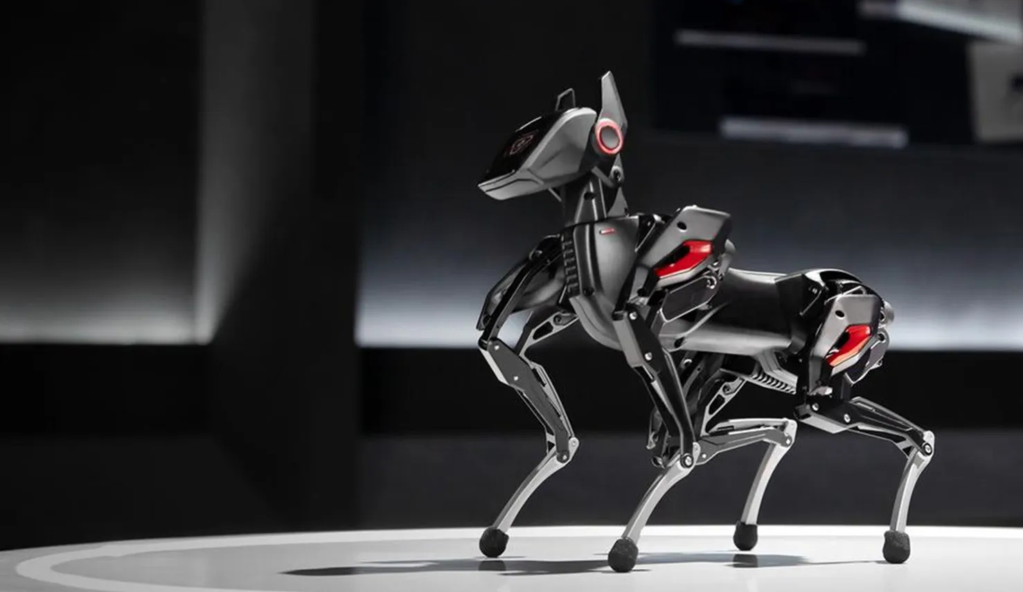 robotic dog