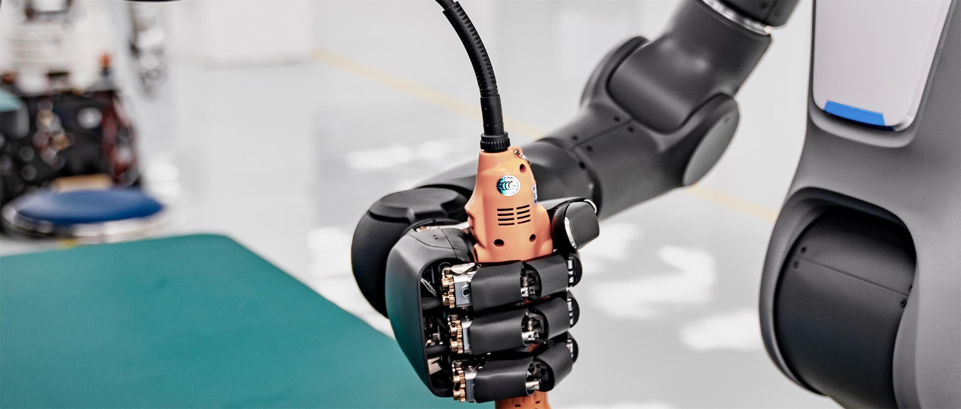 Embodied Robot Arm