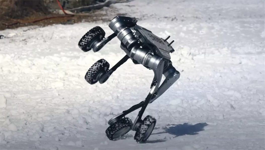 snow robotic dog